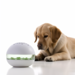 Jo-Baker_Using_essential_oil_diffusers_around_pets_can_be_harmf_48fab82c-8815-4691-9793-9699f2eb7b0c