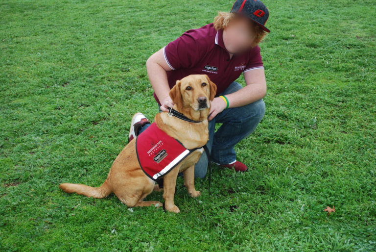 bridging-the-gaps-program-righteous-pups-australiarighteous-pups